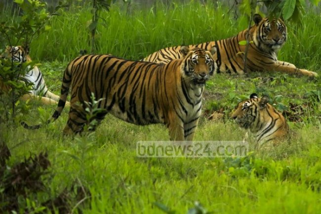 এক নজরে বাংলাদেশের সাফারি পার্কসমূহ