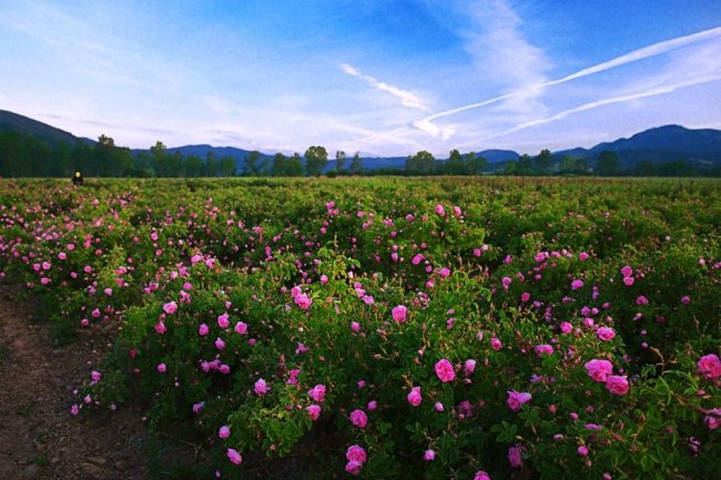 To 5 visiting places near Dhaka
