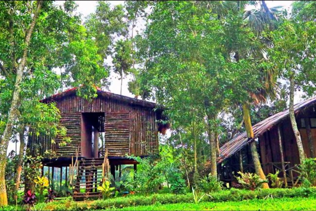 Visit around Dhaka at a low cost