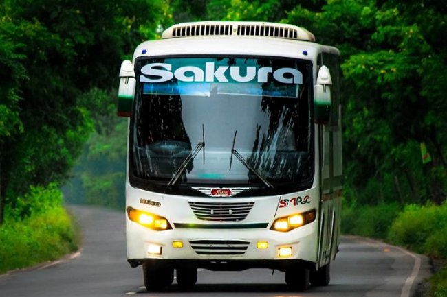 সাকুরা পরিবহন : কাউন্টার ও ভাড়া বিস্তারিত