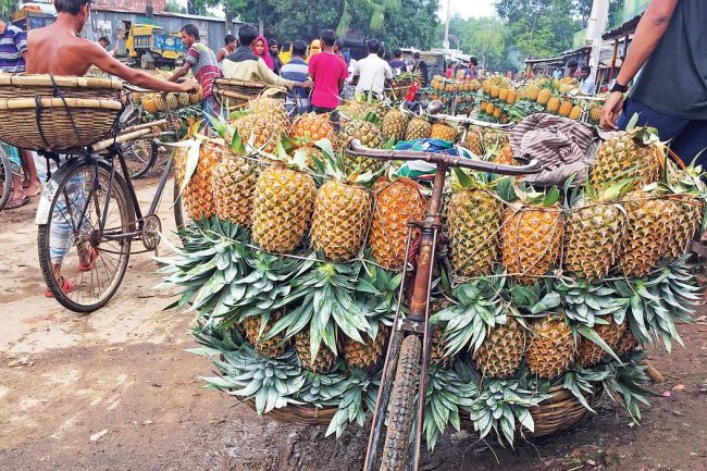 জলছত্রের আনারস বাজার, টাঙ্গাইল