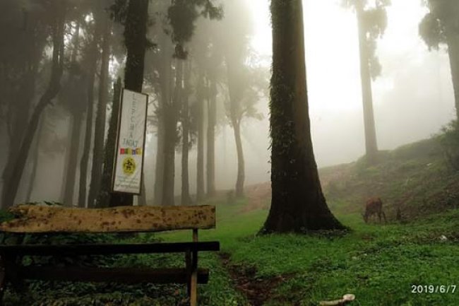 মেঘে ঢাকা লেপচাজগতে এক পাহাড়িয়া দিনের গল্প