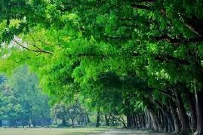 অবসরে ঘুরে আসুন প্রকৃতির নিবিড় ছায়ায় জিন্দাপার্কে,নারায়নগঞ্জ