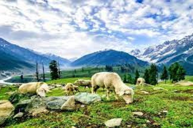 The True Heaven on Earth Kashmir