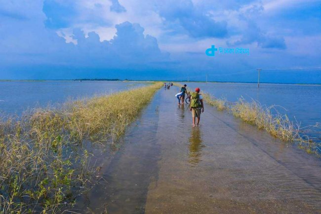 গাজনার বিল : পাবনার অন্যতম দর্শনীয় স্থান
