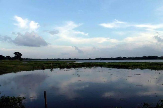 চিনাদী বিল : শীত ভ্রমণে নরসিংদী